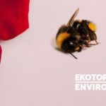 Ekotopfilm - Envirofilm