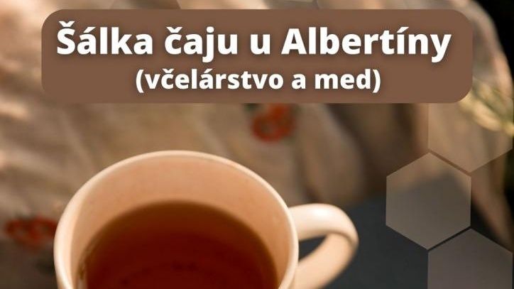 Šálka Čaju u Albertíny